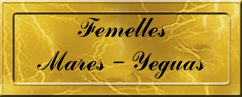 FEMELLES-MARES