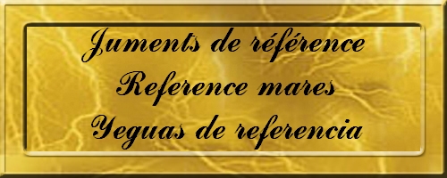 JUMENT-REFERENCIA