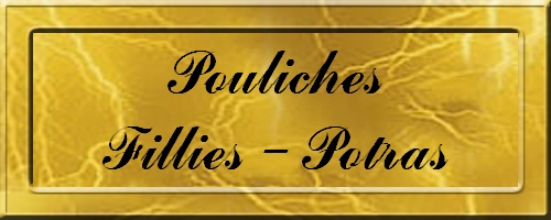 POULICHE-POTRAS