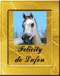 FELICITY DE LAFON