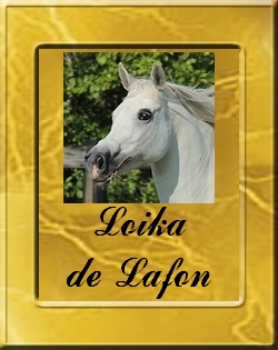 LOIKA DE LAFON