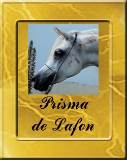 PRISMA DE LAFON