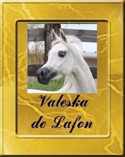 VALESKA_VIGNETTE