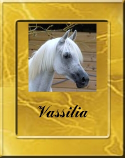 VASSILIA-VIGNETTE